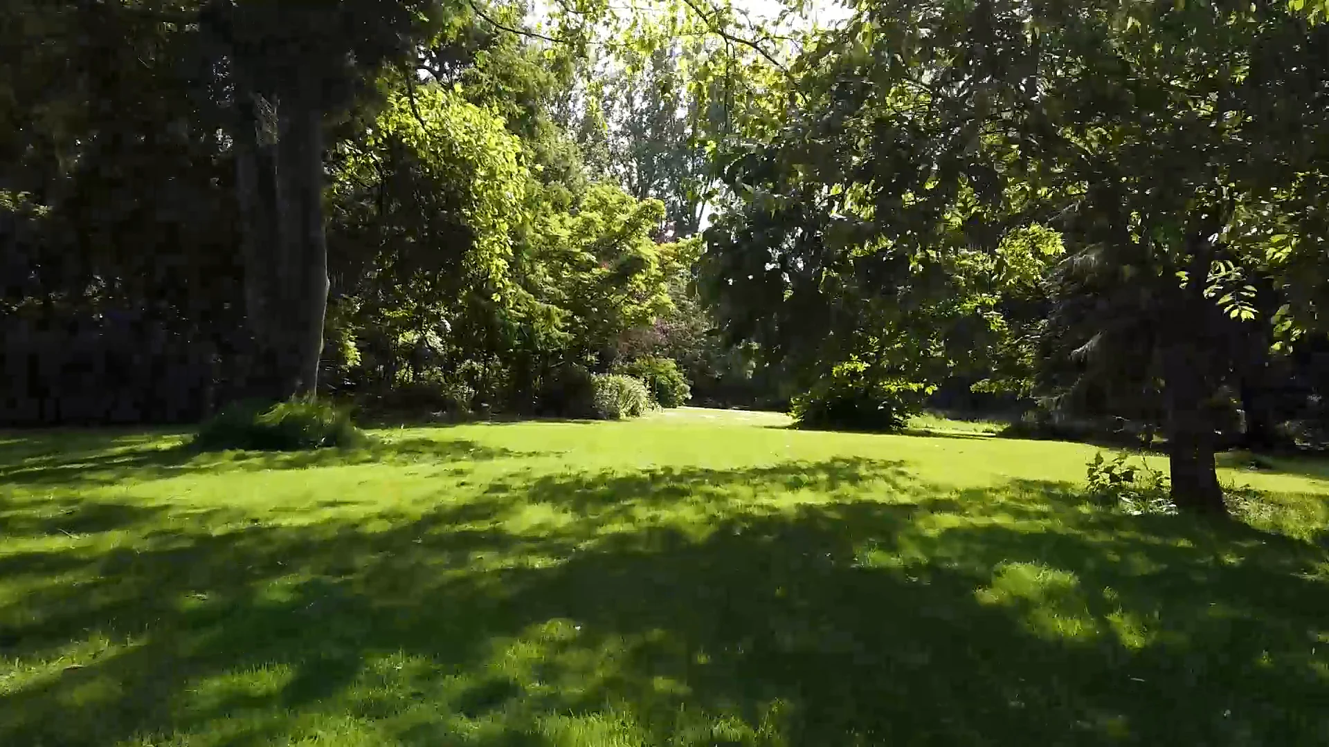 Sunlit lawn and mature trees in Alby Gardens