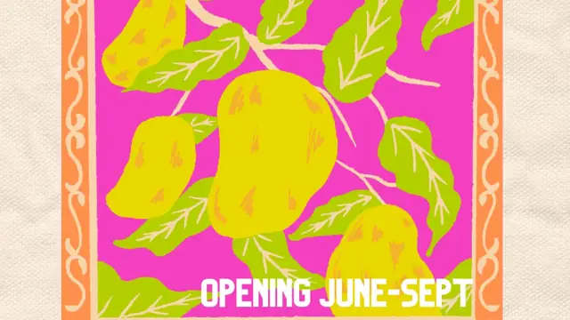 Lalita's Wardrobe pop-up shop poster