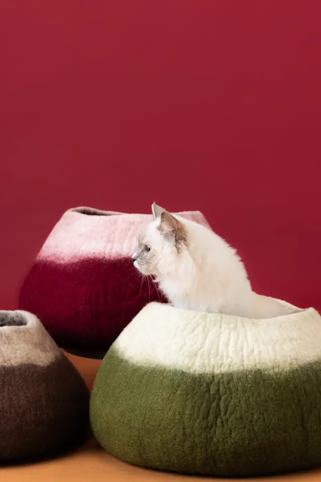 A cat sitting in a felted wool cat cave