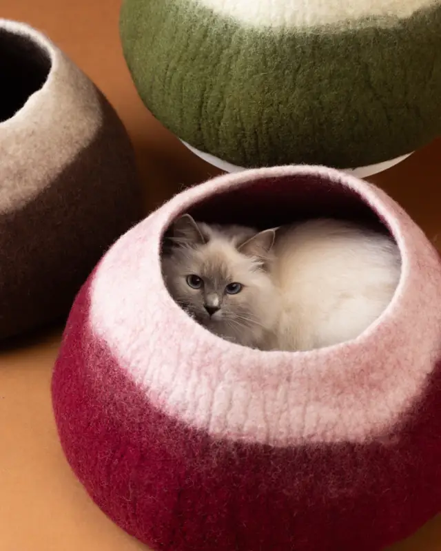 A cat curled up inside a felted cat cave